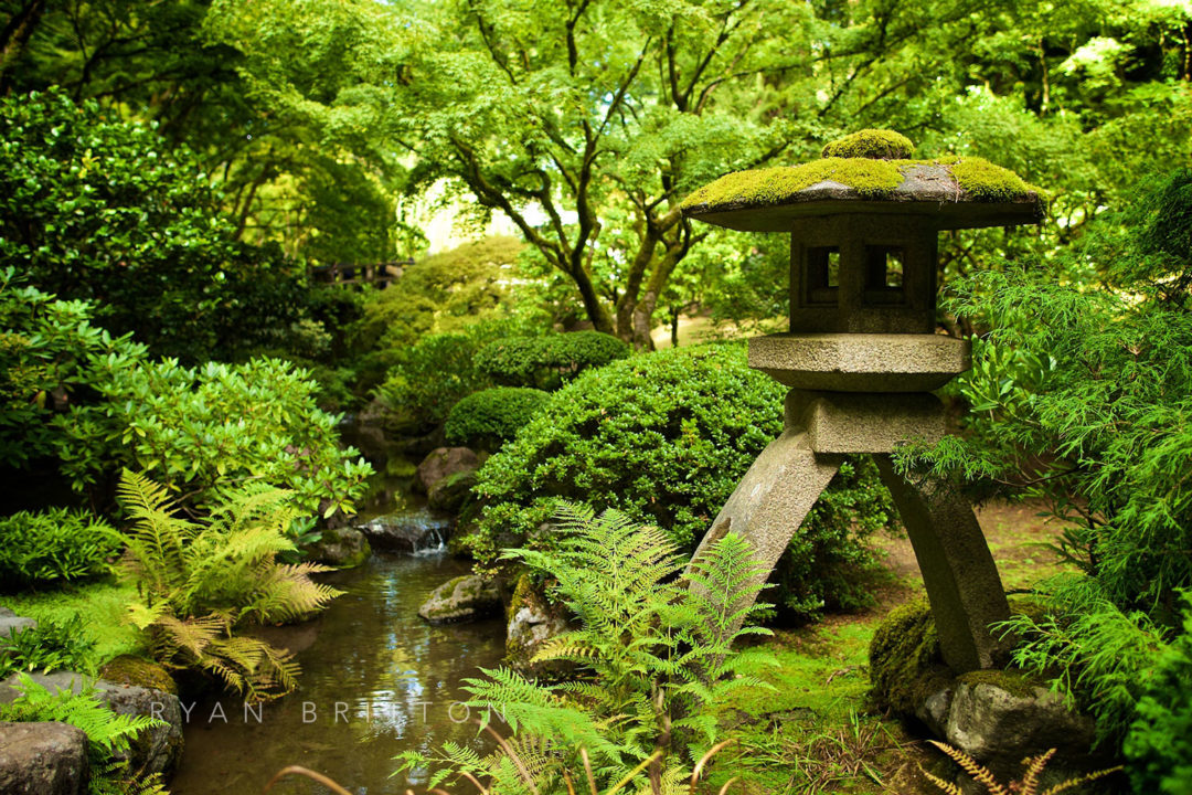 Lantern - Photo of a mossy stone lantern in a Japanese Garden next to a stream