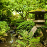 Lantern - Photo of a mossy stone lantern in a Japanese Garden next to a stream